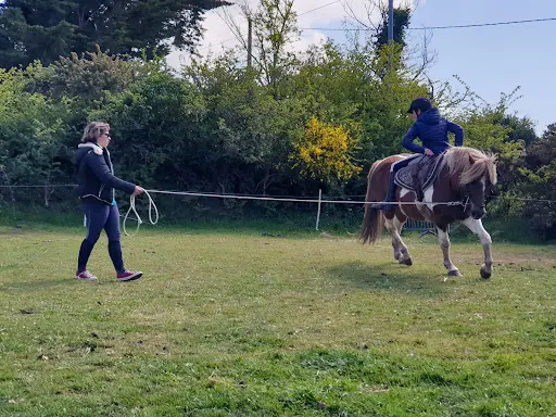 Les Poneys de Kerjean