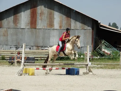Ecurie Al-fort