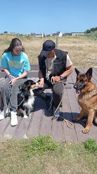 Éducateur Canin Spécialisé en Chiens Difficiles et Expert en Olfaction. Méthodes Adaptées Pour Un Comportement Équilibré.