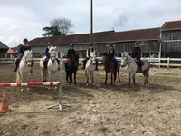 Rulan Equitation