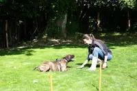 Dl Coach Animalier