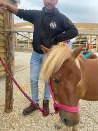 Les Poneys de Kerougar