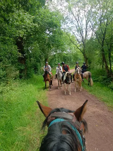 Brocéliande Randonnée A Cheval