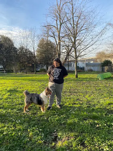 Canis Luna