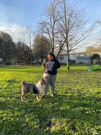 Canis Luna