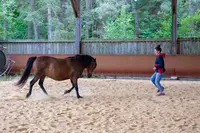 Les Chevaux de Brocéliande - Centre Équestre Tréhorenteuc