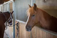 Parc d'Équitation du Château Bleu