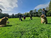 Éducation et Comportement Canin "a Chill Skol"