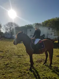 Centre Equestre de Treon