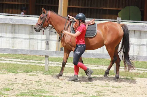 Equi Formations