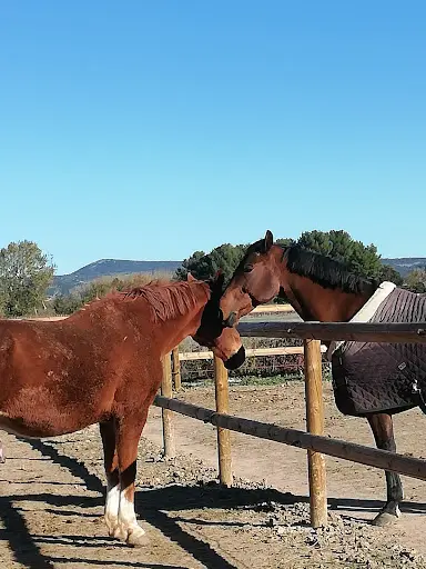 Haras Di Villagana