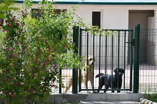 Pension Canine du Domaine de la Vallée de l'Arc
