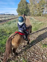 Poney Club du Nator
