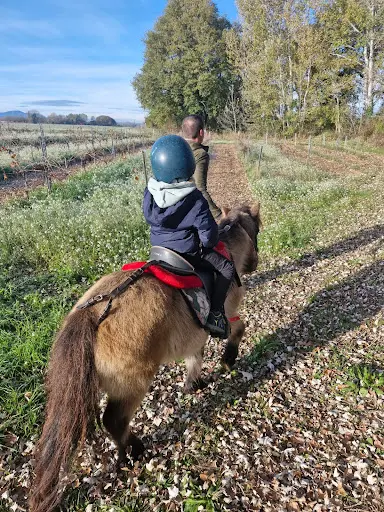Poney Club du Nator