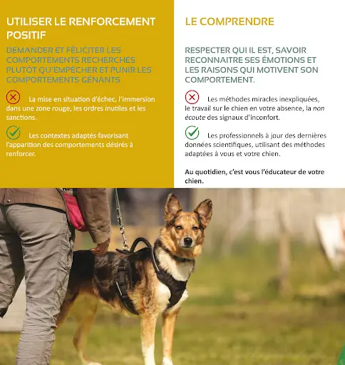 Paco Moniteur et Educateur Canin