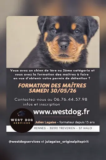 West Dog Services - Julien Lagaise - Éducation Canine Depuis 2005