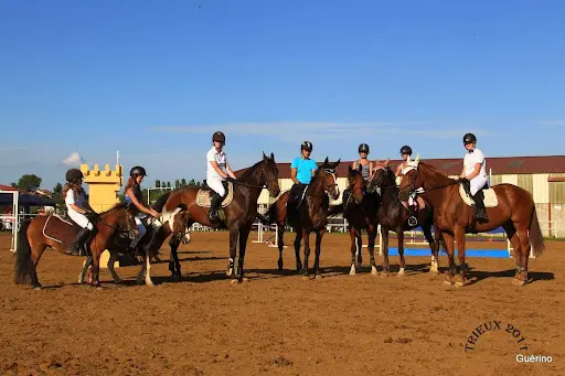 Centre Equestre du Quoiré Trieux