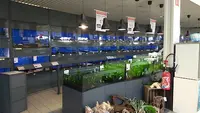 Jardiland