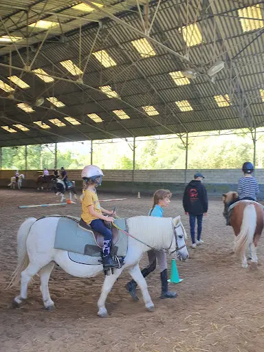 Abc du Cheval et du Poney