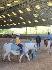 Abc du Cheval et du Poney