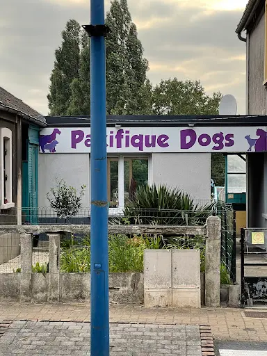 Pacifique Dogs