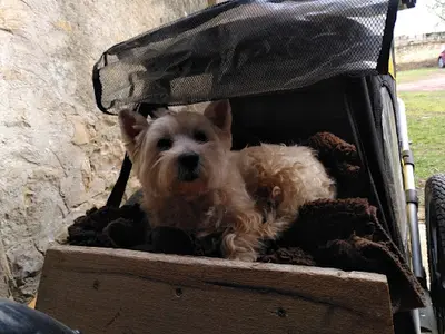 La Niche de Claudia