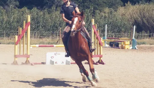 Equi-loisir 66 - Centre Équestre
