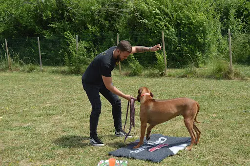 K9unit