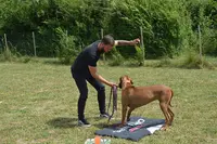 K9unit