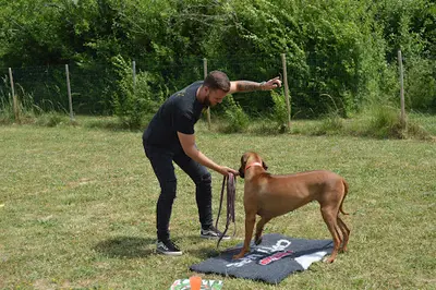 K9unit