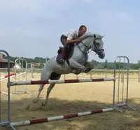 Ecurie de Matt