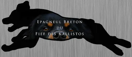 Fief des Kallistos