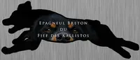 Fief des Kallistos