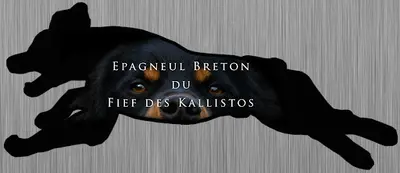 Fief des Kallistos