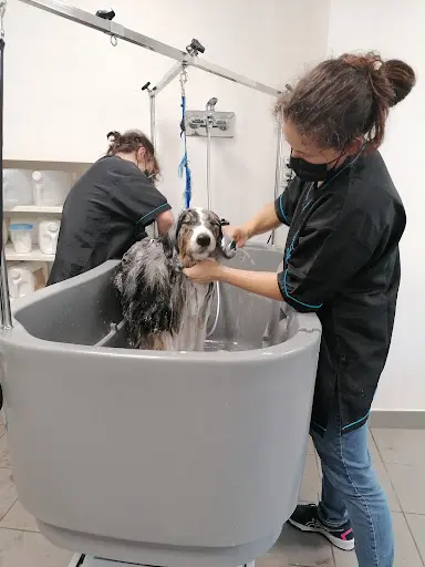 l'Espace Canin