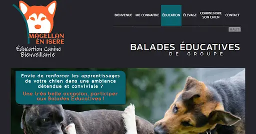 Éducateur Dresseur Canin À Domicile, Magellan en Isère