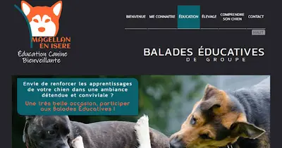 Éducateur Dresseur Canin À Domicile, Magellan en Isère