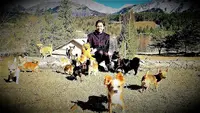 Élevage Passionnel de Bouledogue Exotique Chihuahua et Spitz