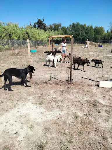 Le Domaine des Prades