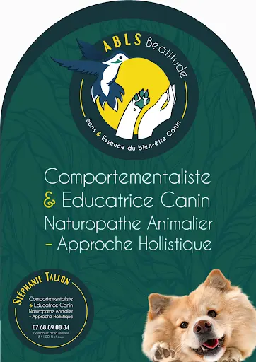 Abls Béatitude Comportementaliste Éducatrice Canin