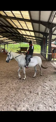 Centre Equestre d'Unieux