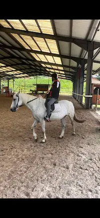 Centre Equestre d'Unieux