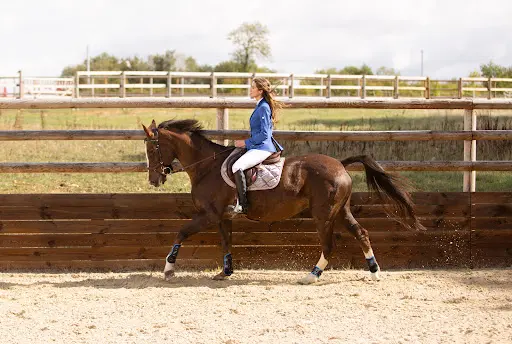 Haras de Clayrel