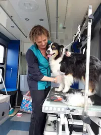 Canins Toilettage Mobile
