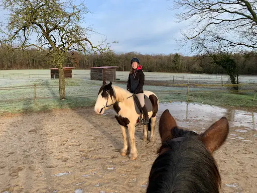 Des Sabots Dans la Forêt - Balades À Cheval À Fontainebleau