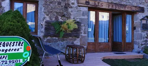 Ferme Équestre les Fougères/séjours Nature et Relation au Cheval / Haut Forez