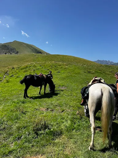 Guzet Cheval