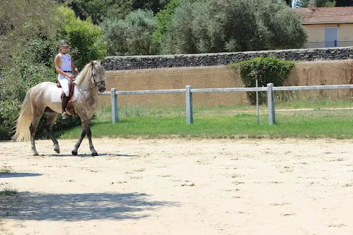 Haras National de Uzès