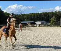 Club Hippique de la Forêt