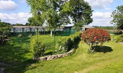 l'Univair des Chiens